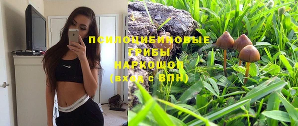 спайс Алексеевка