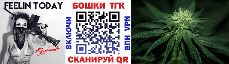 Бошки Шишки планчик  Рошаль 